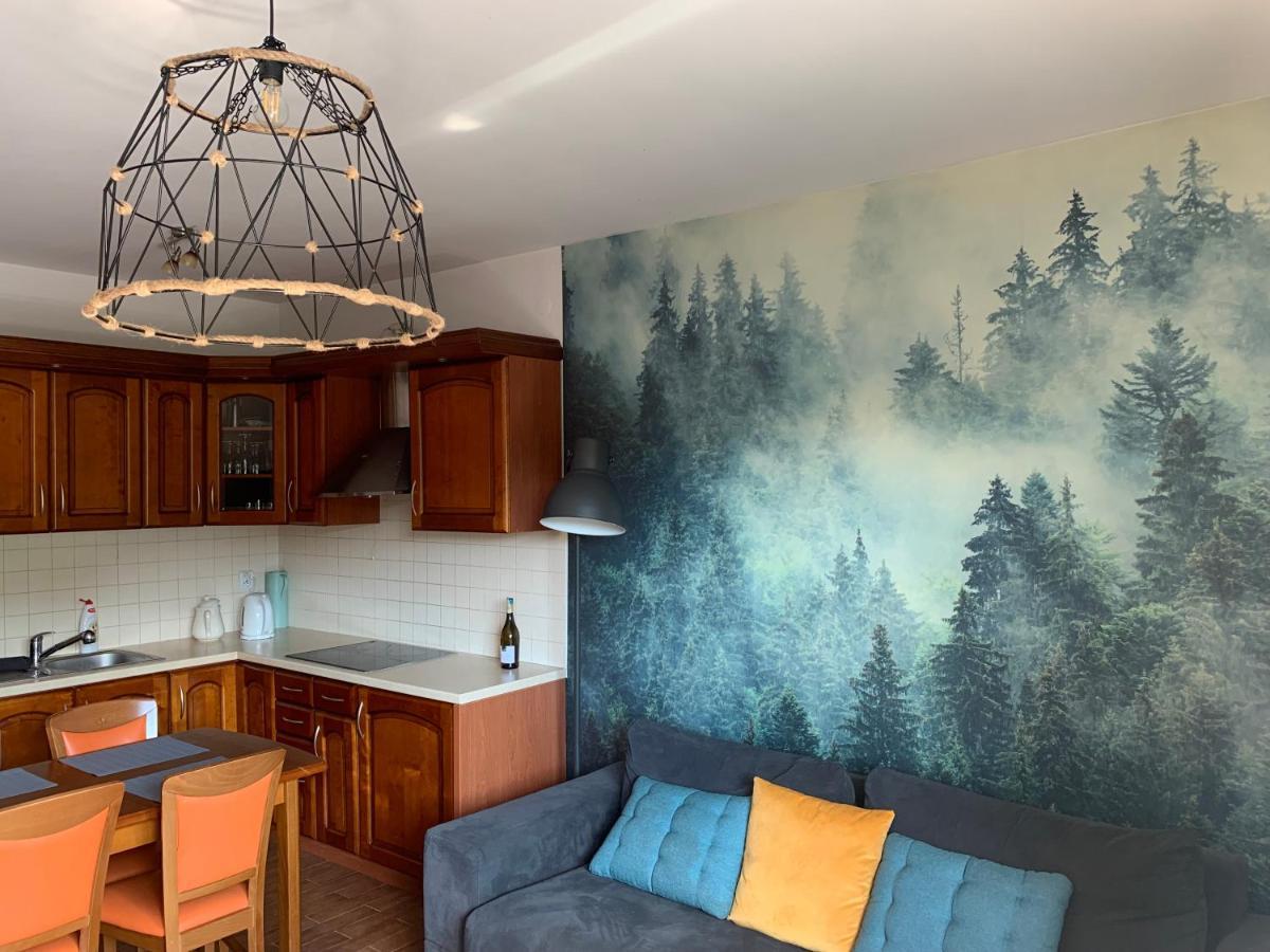 Apartament Na Wzgorzu 维斯拉 外观 照片